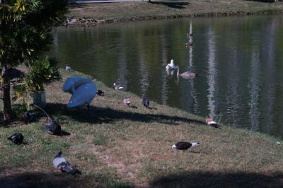 Прикрепленное изображение: DSC02151-1.JPG